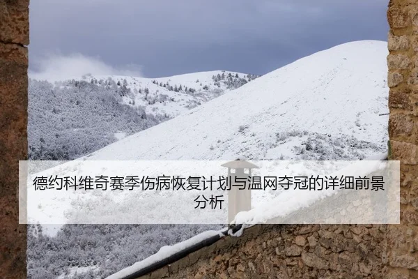 德约科维奇赛季伤病恢复计划与温网夺冠的详细前景分析