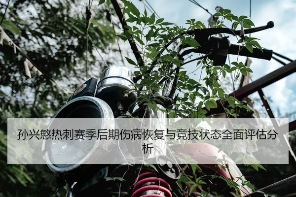 孙兴慜热刺赛季后期伤病恢复与竞技状态全面评估分析